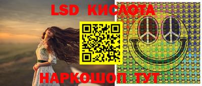 шишки Краснознаменск