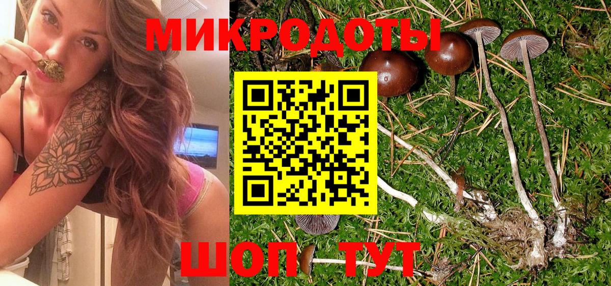 Галлюциногенные грибы Magic Shrooms  Псилоцибиновые грибы Cubensis  Армавир  Вход с VPN 